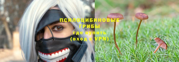 прущая мука Верхний Тагил
