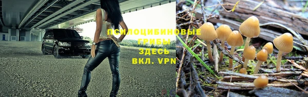 прущая мука Верхний Тагил