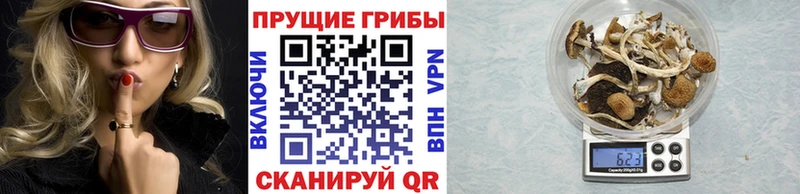 где найти наркотики  Симферополь  Псилоцибиновые грибы ЛСД 