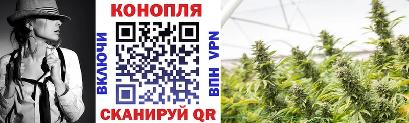 Канабис план  сайты даркнета Telegram  Симферополь  купить закладку 